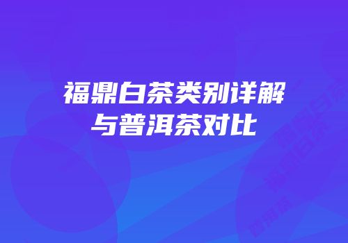 福鼎白茶类别详解与普洱茶对比