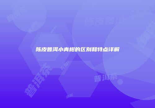 陈皮普洱小青柑的区别和特点详解