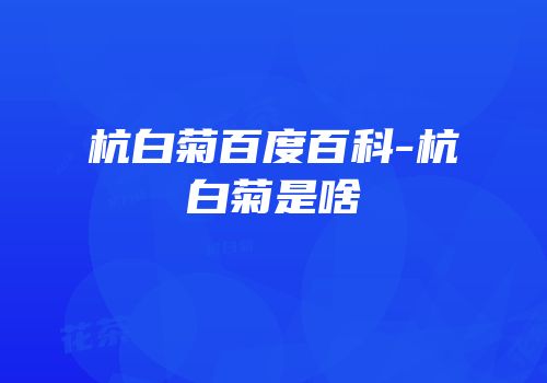 杭白菊百度百科-杭白菊是啥