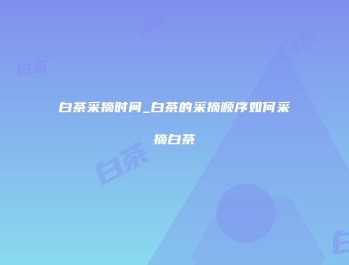 白茶采摘时间_白茶的采摘顺序如何采摘白茶