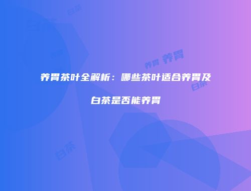 养胃茶叶全解析：哪些茶叶适合养胃及白茶是否能养胃