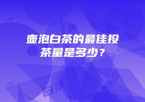 壶泡白茶的最佳投茶量是多少？