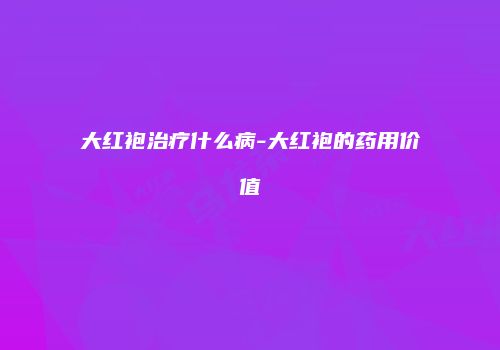 大红袍治疗什么病-大红袍的药用价值