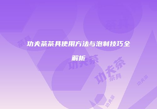 功夫茶茶具使用方法与泡制技巧全解析