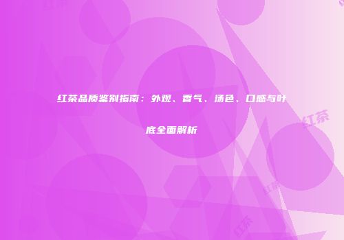 红茶品质鉴别指南：外观、香气、汤色、口感与叶底全面解析