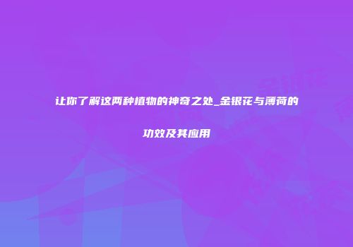让你了解这两种植物的神奇之处_金银花与薄荷的功效及其应用