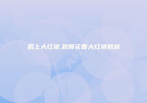 岩上大红袍,岩骨花香大红袍岩越