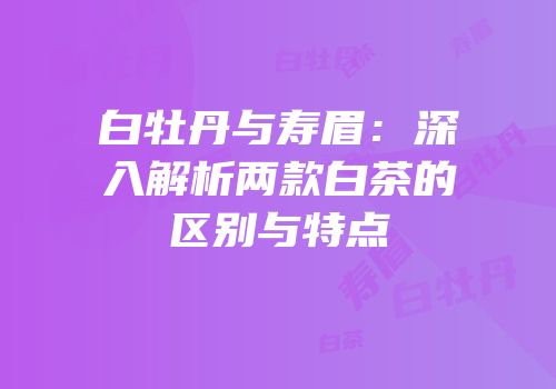 白牡丹与寿眉：深入解析两款白茶的区别与特点