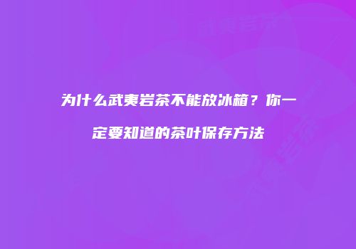为什么武夷岩茶不能放冰箱？你一定要知道的茶叶保存方法