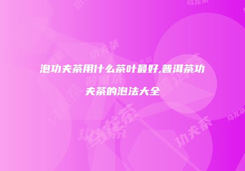 泡功夫茶用什么茶叶最好,普洱茶功夫茶的泡法大全