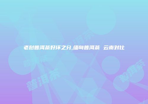 老挝普洱茶好坏之分,缅甸普洱茶 云南对比