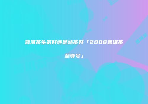 普洱茶生茶好还是熟茶好「2008普洱茶至尊号」