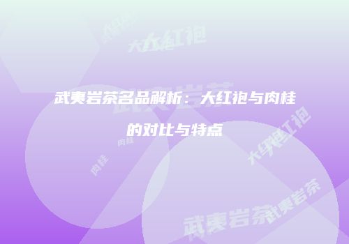 武夷岩茶名品解析：大红袍与肉桂的对比与特点