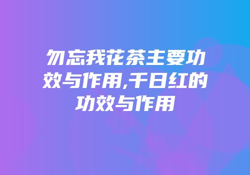 勿忘我花茶主要功效与作用,千日红的功效与作用