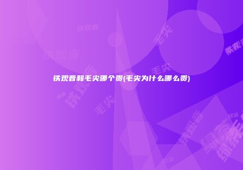 铁观音和毛尖哪个贵(毛尖为什么哪么贵)