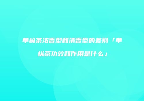 单枞茶浓香型和清香型的差别「单枞茶功效和作用是什么」