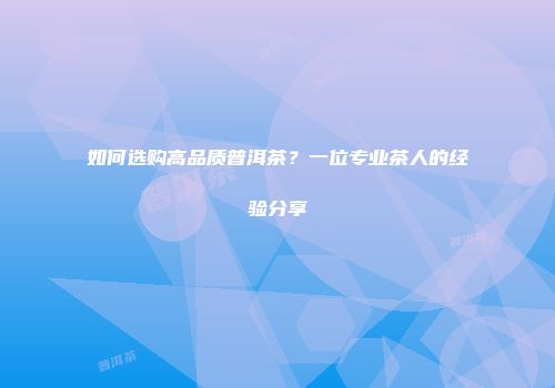 如何选购高品质普洱茶？一位专业茶人的经验分享