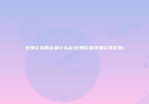 玫瑰花茶的花是什么花(玫瑰花和玫瑰花茶区别)