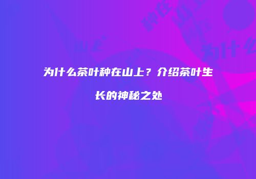 为什么茶叶种在山上？介绍茶叶生长的神秘之处