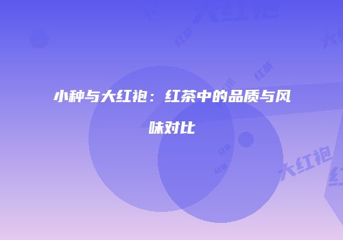 小种与大红袍：红茶中的品质与风味对比