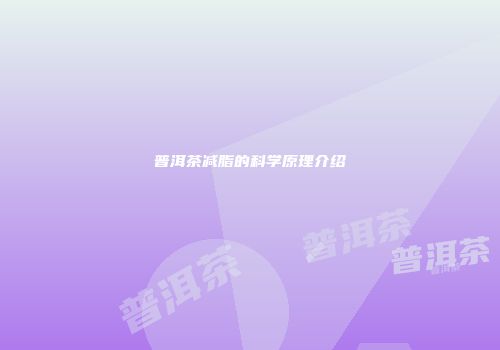 普洱茶减脂的科学原理介绍