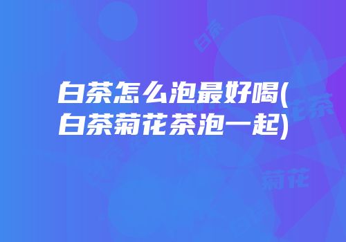 白茶怎么泡最好喝(白茶菊花茶泡一起)
