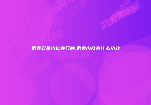 武夷岩茶肉桂有几种,武夷肉桂有什么功效