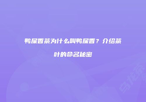 鸭屎香茶为什么叫鸭屎香？介绍茶叶的命名秘密