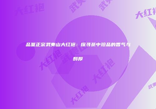 品鉴正宗武夷山大红袍：探寻茶中珍品的香气与醇厚