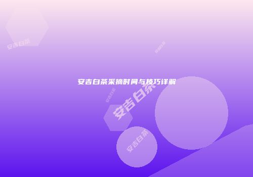 安吉白茶采摘时间与技巧详解