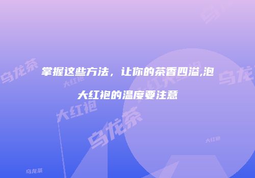 掌握这些方法，让你的茶香四溢,泡大红袍的温度要注意
