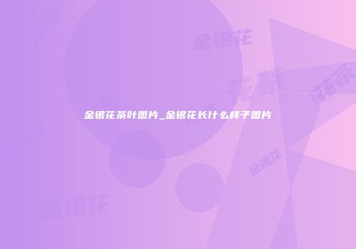 金银花茶叶图片_金银花长什么样子图片