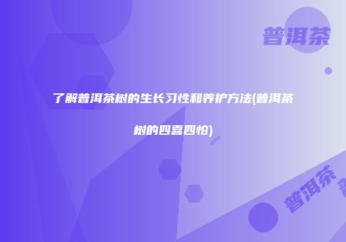 了解普洱茶树的生长习性和养护方法(普洱茶树的四喜四怕)