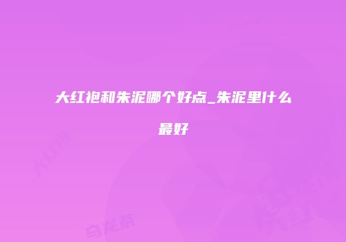 大红袍和朱泥哪个好点_朱泥里什么最好