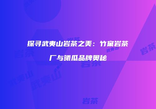 探寻武夷山岩茶之美：竹窠岩茶厂与曦瓜品牌奥秘