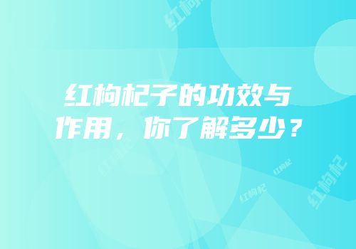 红枸杞子的功效与作用，你了解多少？