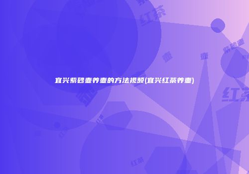 宜兴紫砂壶养壶的方法视频(宜兴红茶养壶)