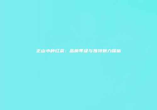 正山小种红茶：品质等级与独特魅力探析