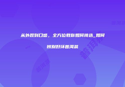 从外观到口感，全方位教你如何挑选_如何辨别好坏普洱茶