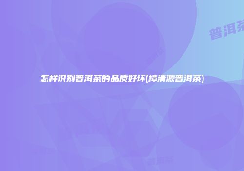 怎样识别普洱茶的品质好坏(樟清源普洱茶)