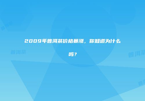 2009年普洱茶价格暴涨，你知道为什么吗？
