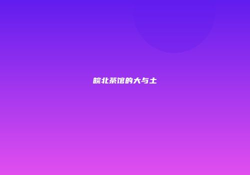 皖北茶馆的大与土