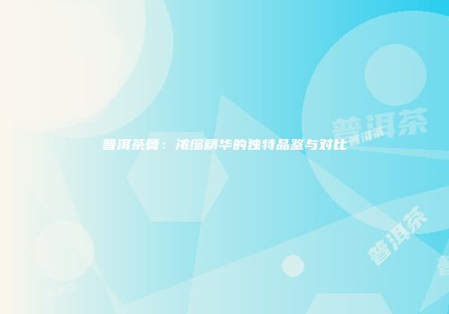 普洱茶膏：浓缩精华的独特品鉴与对比
