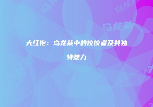 大红袍：乌龙茶中的佼佼者及其独特魅力