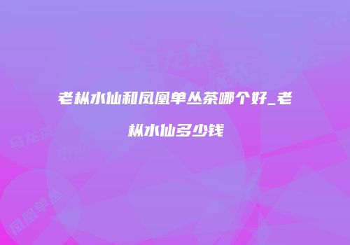 老枞水仙和凤凰单丛茶哪个好_老枞水仙多少钱