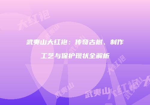 武夷山大红袍：传奇古树、制作工艺与保护现状全解析