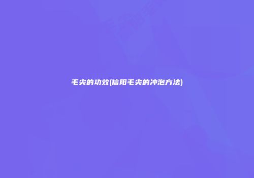 毛尖的功效(信阳毛尖的冲泡方法)