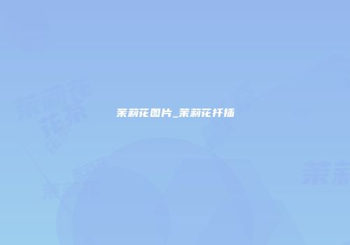 茉莉花图片_茉莉花扦插