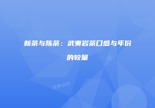 新茶与陈茶：武夷岩茶口感与年份的较量