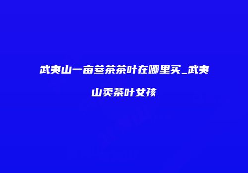 武夷山一亩叁茶茶叶在哪里买_武夷山卖茶叶女孩